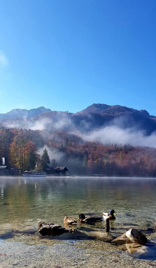 Apartments Bohinjc Экстерьер фото